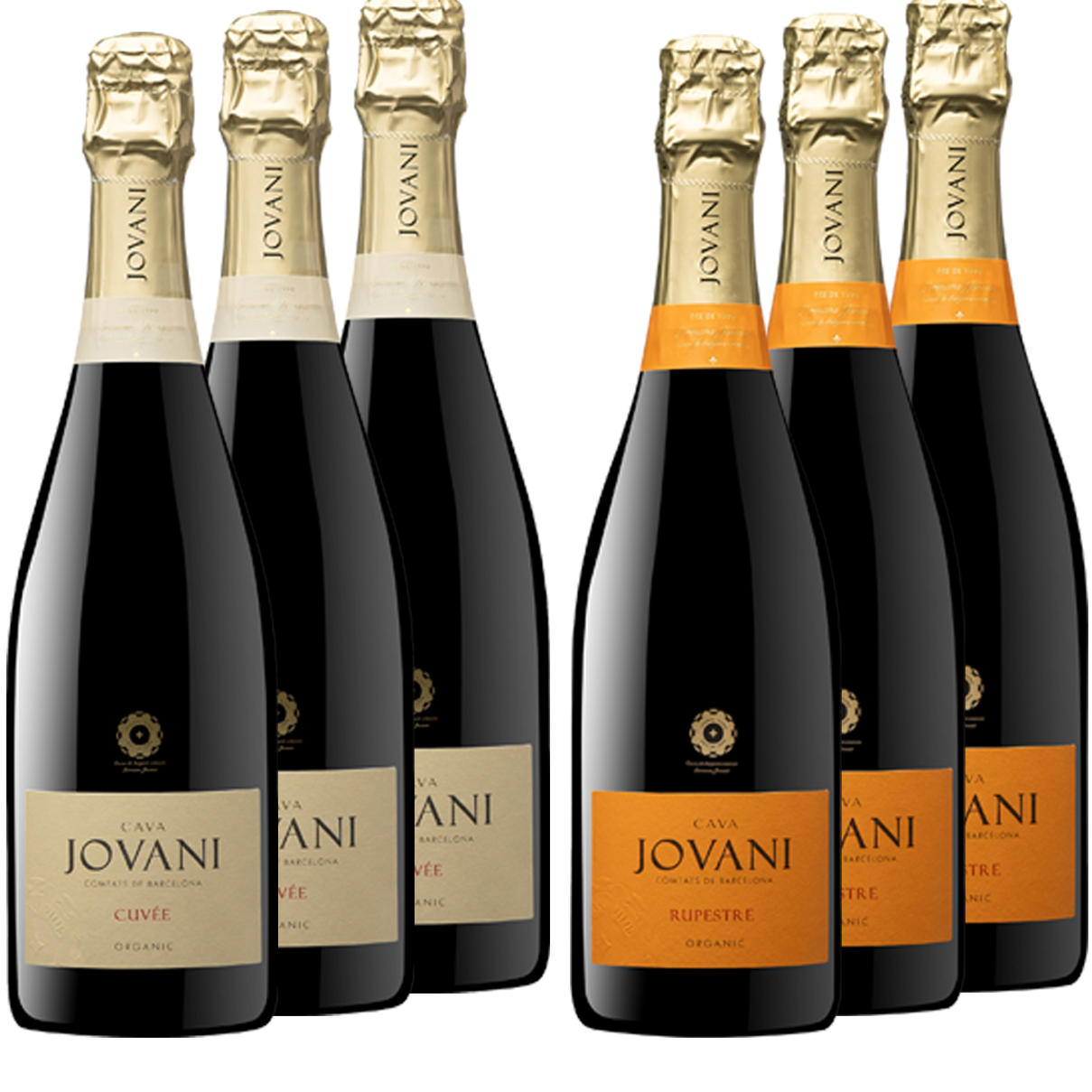 PACK JOVANI GUARDA SUPERIOR BOX